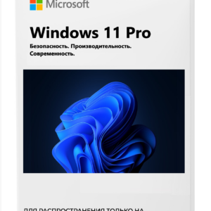 Microsoft Windows 11 Pro