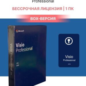 Microsoft Visio Professional 2019 Win English Medialess