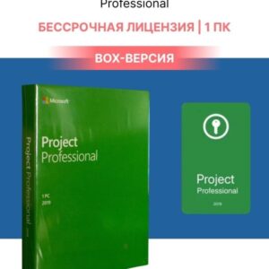 Microsoft Project Professional 2019 Win English Medialess