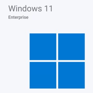 Microsoft Windows 11 Enterprise x64