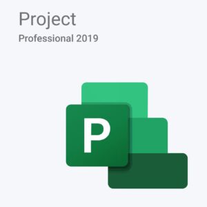 Microsoft Project 2019 Professional
