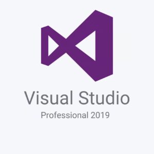 Microsoft Visual Studio 2019 Professional
